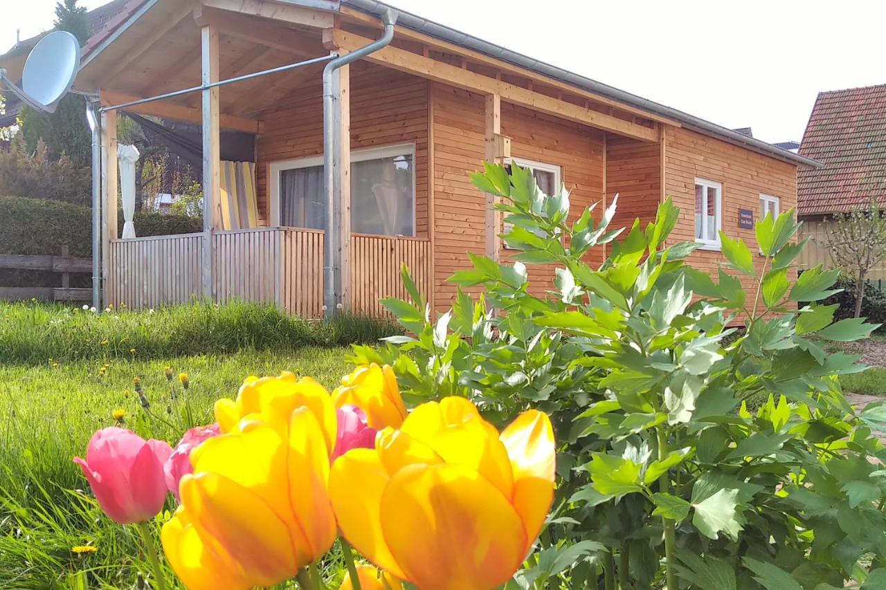 Tiny-Ferienhaeusle Casa Wendy Villa Lossburg Bagian luar foto